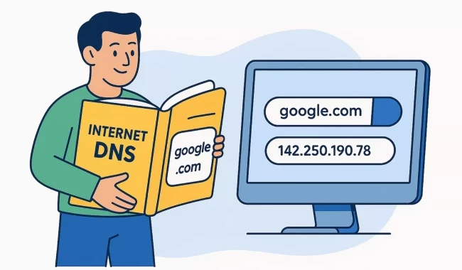 What Are DNS and Why Do They Matter?